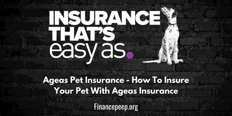 ageas pet insurance reviews uk